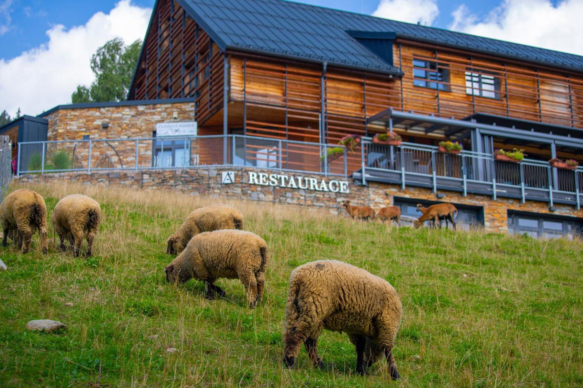 Amenity Hotel & Resort Spindleruv Mlyn Exterior photo