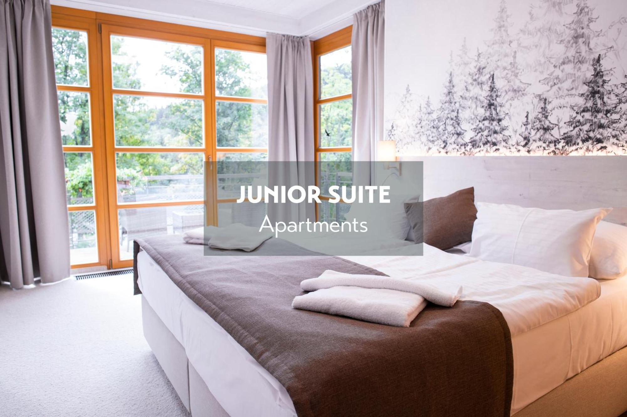 Amenity Hotel & Resort Spindleruv Mlyn Exterior photo